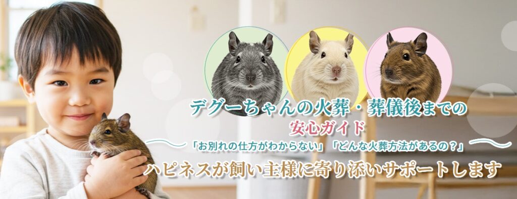 デグーちゃんの火葬・葬儀後までの安心ガイド