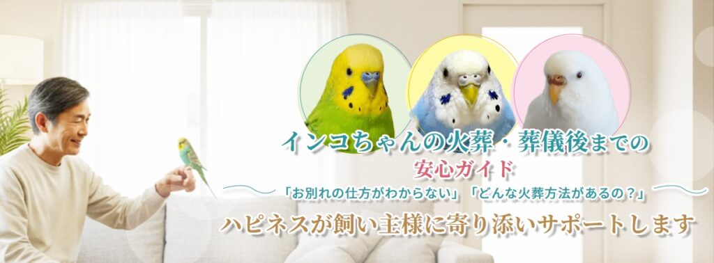 インコちゃんの火葬・葬儀後までの安心ガイド