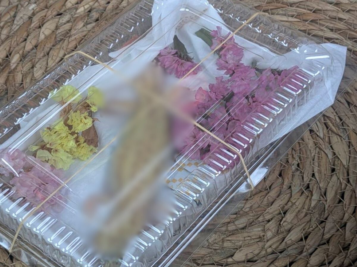 「大切に育てられたレオパードゲッコーを合同火葬でお見送りしたケース」写真