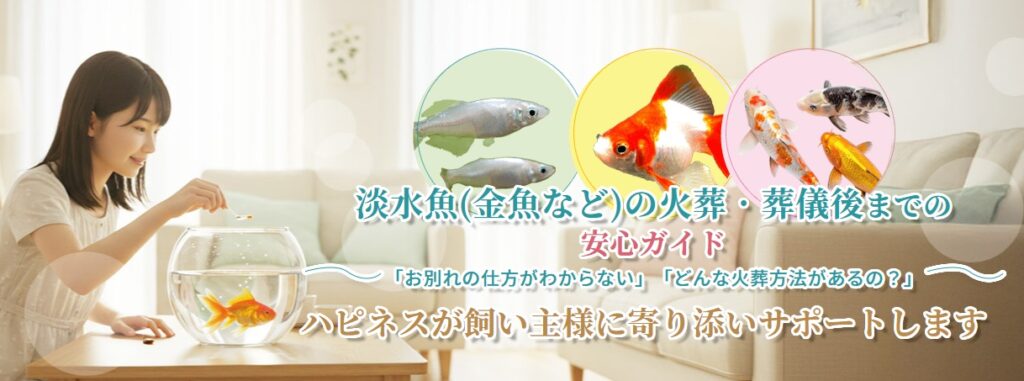 淡水魚（金魚など）の火葬・葬儀後までの安心ガイド