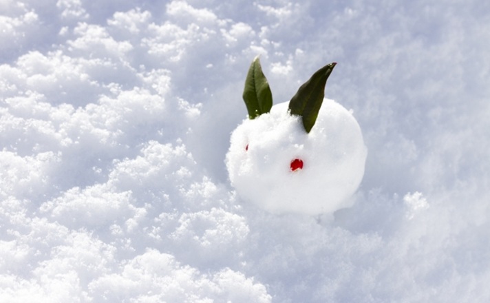 雪ウサギ