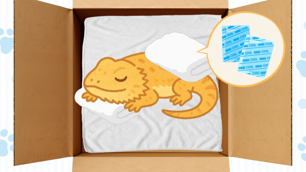 保冷剤を布で包み遺体の周りに置く