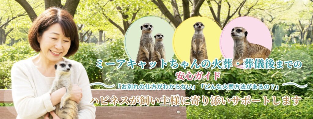 ミーアキャットちゃんの火葬・葬儀後までの安心ガイド