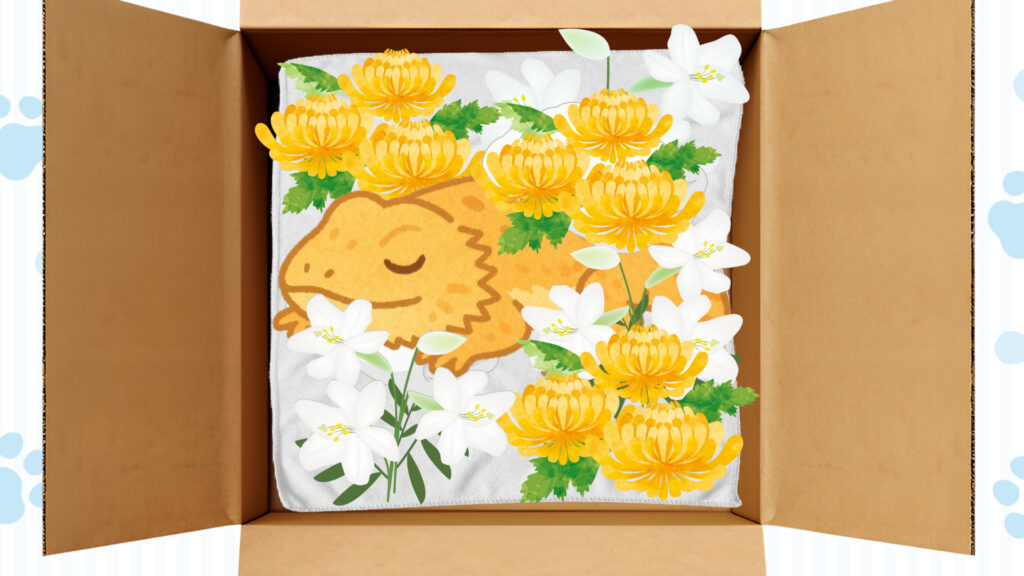 棺を冷暗所に安置する