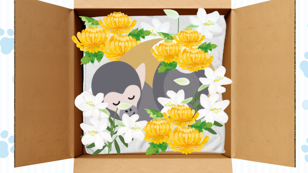 供花やおやつを棺に供える