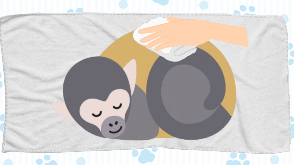 よく絞ったタオルでサルちゃんの体を拭く