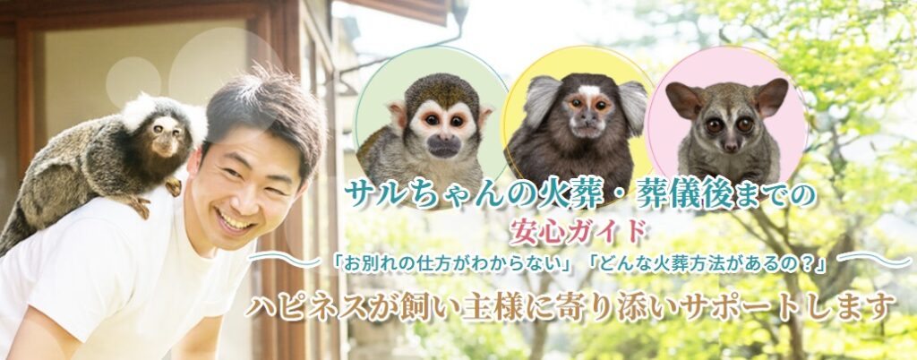 サルちゃんの火葬・葬儀後までの安心ガイド