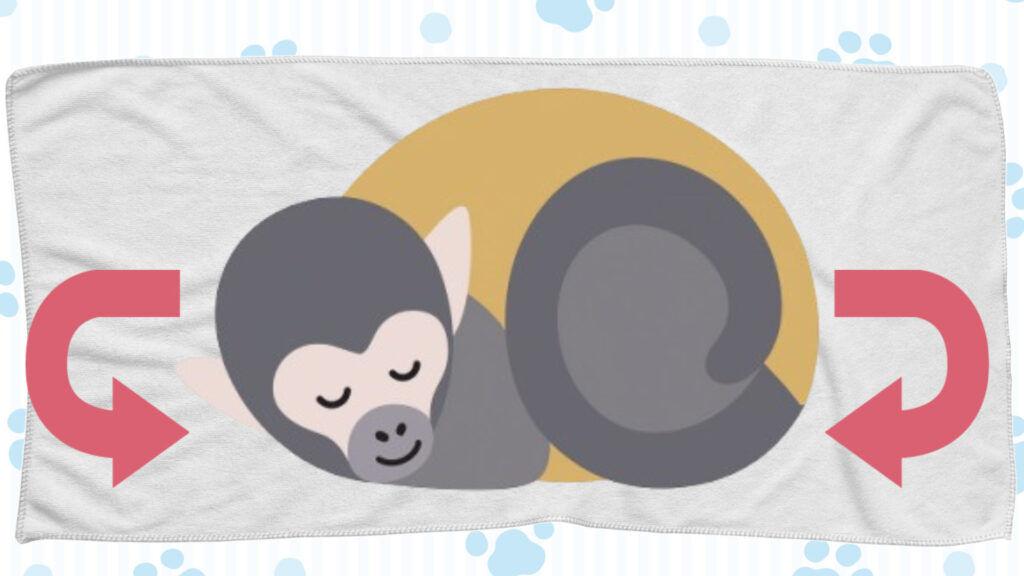 サルちゃんの体勢を整える