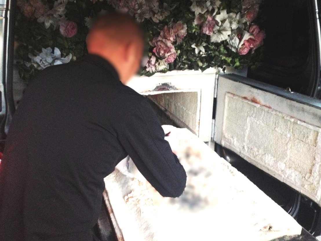 「大切な猫ちゃんを合同火葬でお見送りしたケース」写真