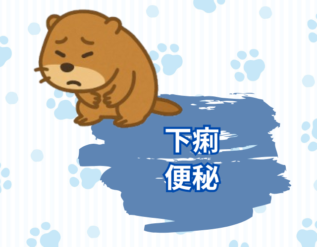 お腹の調子が悪いプレーリードッグ