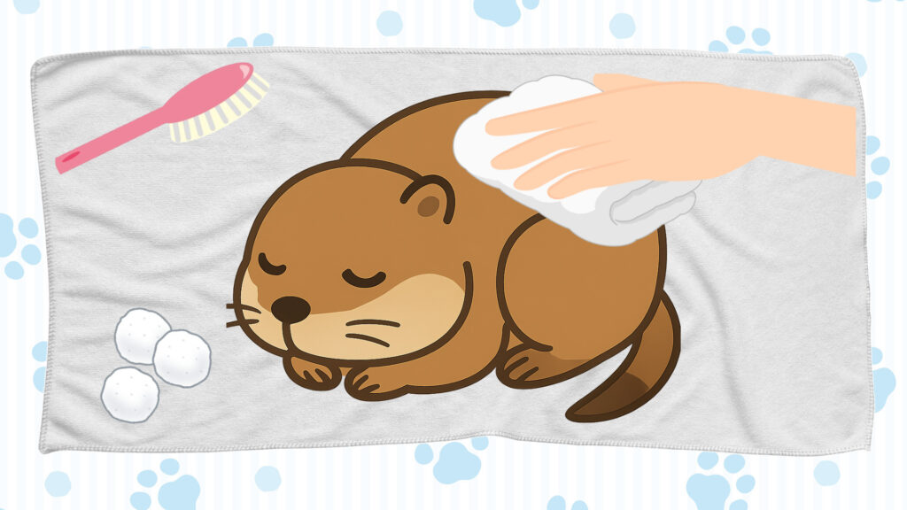 プレーリードッグちゃんの体をきれいにする