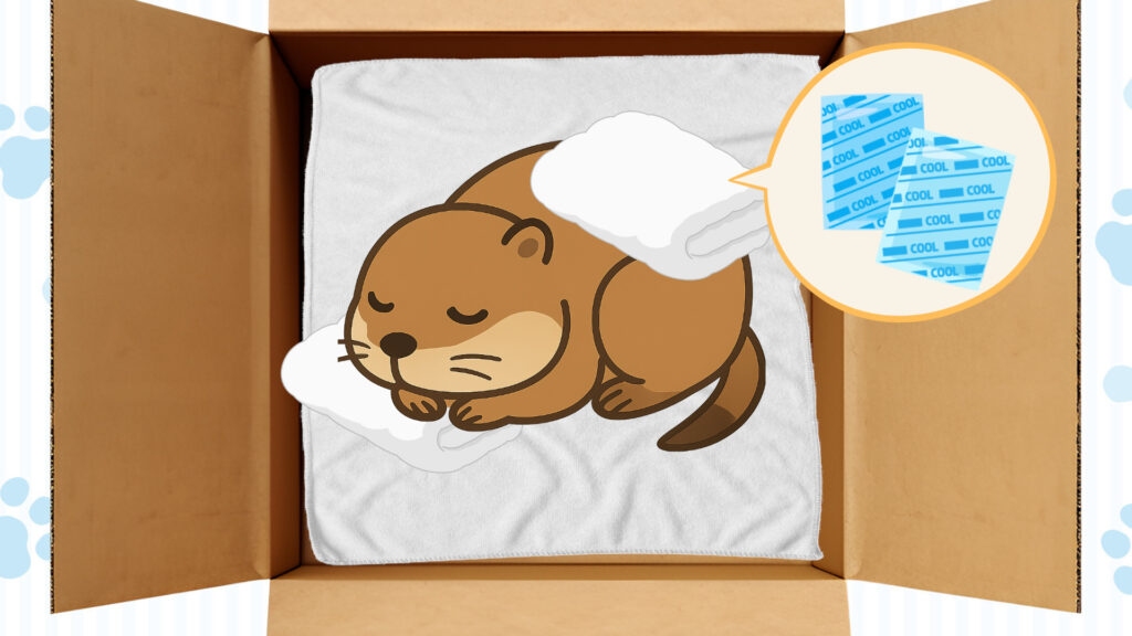 プレーリードッグちゃんを棺に寝かせて冷却する