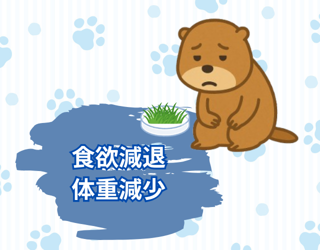 食欲がないプレーリードッグ