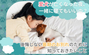 「愛犬が亡くなった夜、一緒に寝てもいいの？後悔しない最期のお別れのために知っておきたいこと」写真