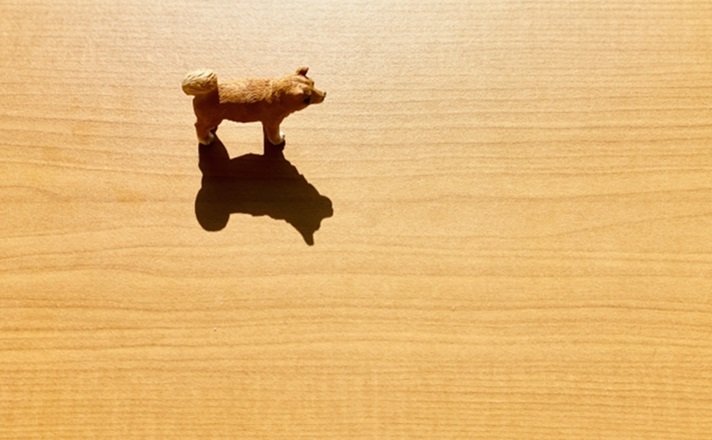 ポツンと置かれた柴犬の置物