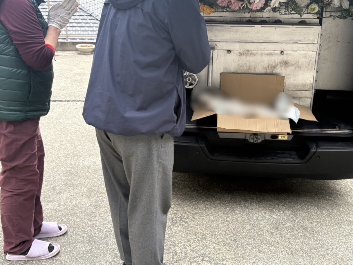 兄弟ととても仲良しだった猫ちゃんを合同火葬でお見送りしたケース