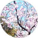 m mm profile picture