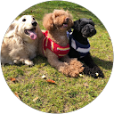 山田流美 profile picture