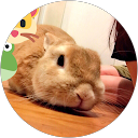 深井愛 profile picture