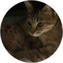 濱未来 profile picture