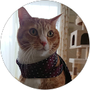 HITAO profile picture