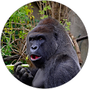 そこらへんにいるも profile picture