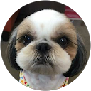 すず profile picture