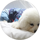 Osamu Ito profile picture