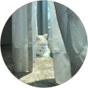 竹内美空 profile picture