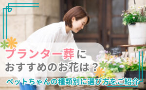 「プランター葬におすすめの花は？ペットちゃんの種類別に選び方をご紹介」写真