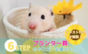 「【6STEP】プランター葬のやり方・必要なものをイラスト付きで解説！」写真