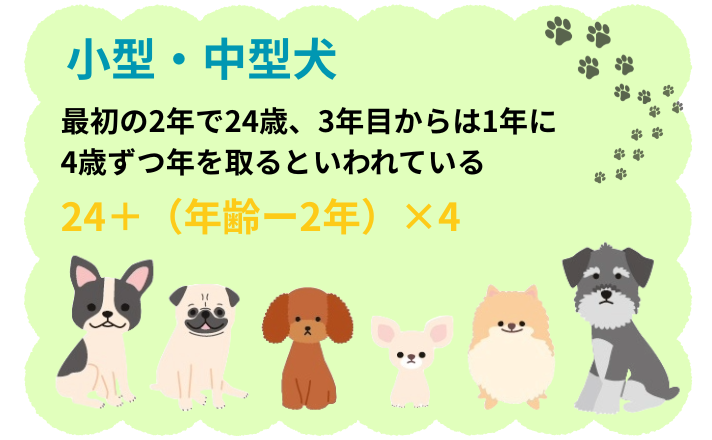 小型犬・中型犬の年齢計算式