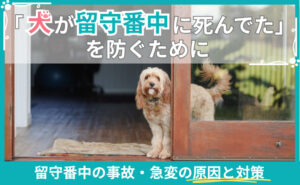「「犬が留守番中に死んでた」を防ぐために｜留守番中の事故・急変の原因と対策」写真