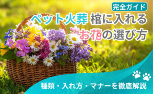 「【完全ガイド】ペット火葬 棺に入れるお花の選び方｜種類・入れ方・マナーを徹底解説」写真