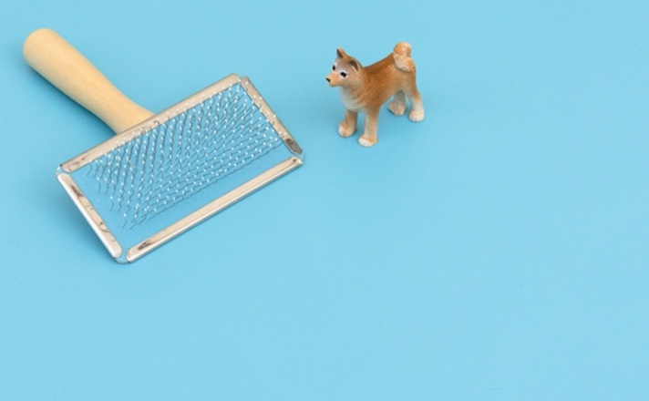 柴犬の人形と毛並みブラシ