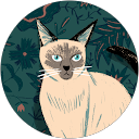 kasumi profile picture