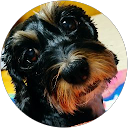 kuu _0701 profile picture