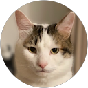kenvy gawgaw profile picture