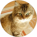 RUI profile picture