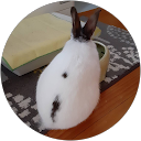 なおなお profile picture