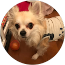 R sega profile picture