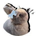ちゃむむあ profile picture
