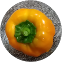 りん profile picture