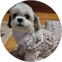 辻美智子 profile picture