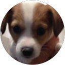 Arinko 777 profile picture