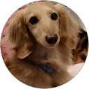 野中裕二 profile picture