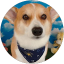 お茶まま profile picture