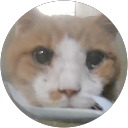 やま profile picture