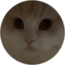 タニシ profile picture