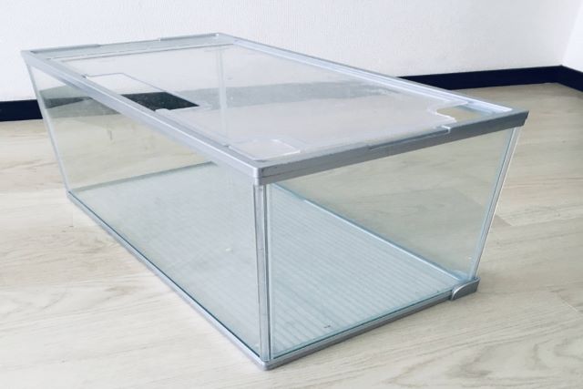 メダカが死ぬ前に見せるサインは 底に沈んで動かない理由と対策 ペット火葬 葬儀はハピネス 格安出張 7 700 霊園供養 納骨可